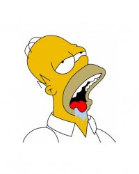 Homer drooling